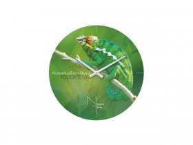 Часы настенные Nicole Time NT503 в Полойке - polojka.mebel-nsk.ru | фото